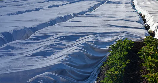 Agricultural Film Recycling